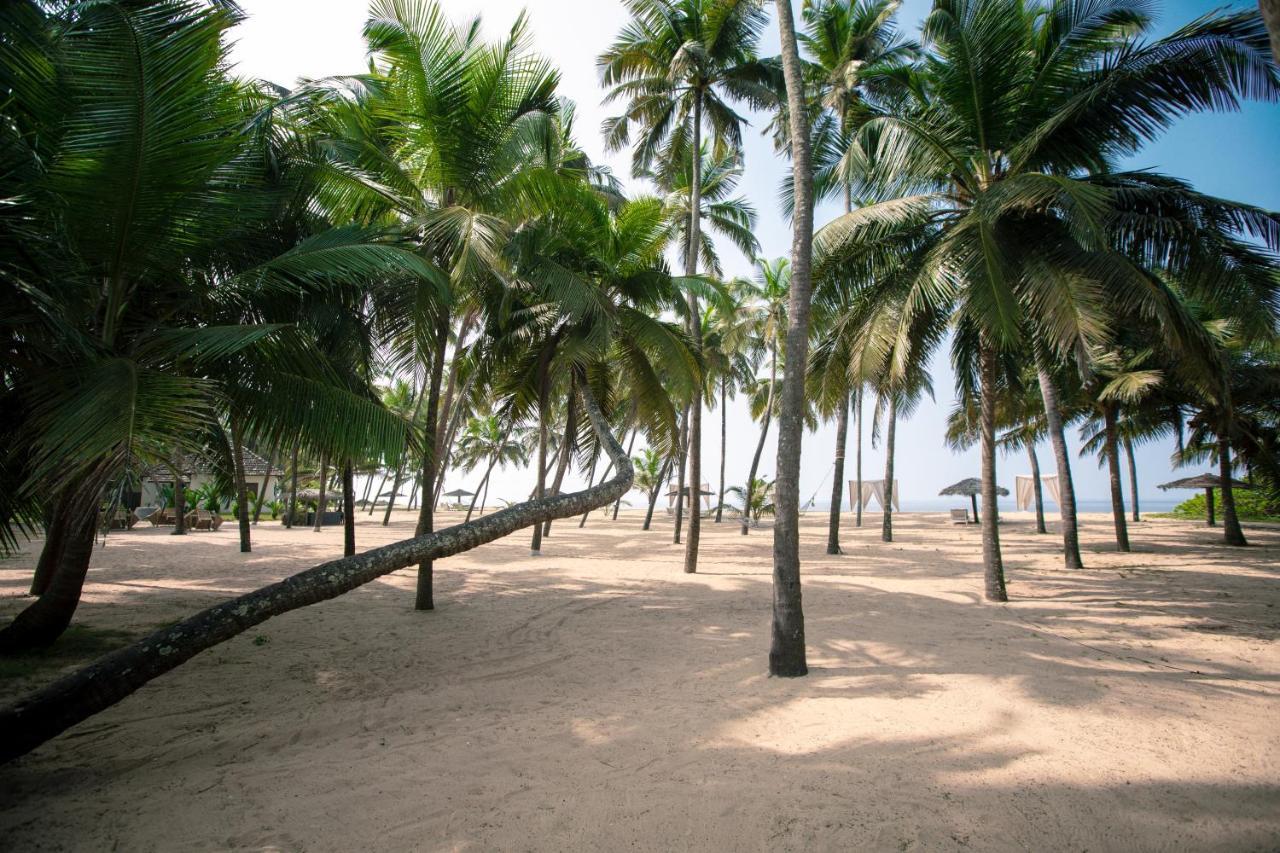 Resort Malabar Ocean Front And Spa, Bekal